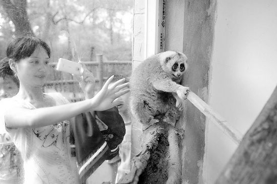 居民家中来了“不速之客”(图2)