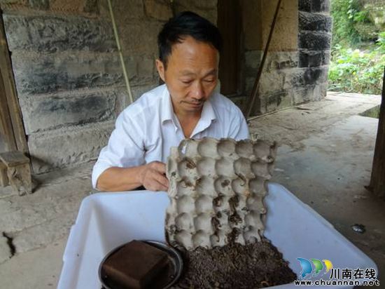 福宝镇：残疾人"量体裁衣"式个性化服务成效显著(图2)