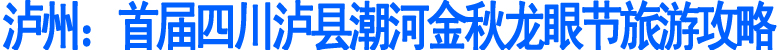 首届四川泸县潮河金秋龙眼节旅游攻略(图1)