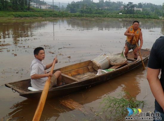 得胜镇：得胜青年，给力抗洪(图1)