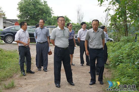 泸县政协主席李朝集率队到太伏镇调研(图1)