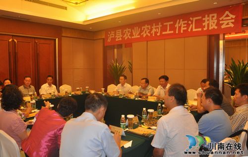 四川省农业厅领导赞扬泸县农业农村工作(图1)