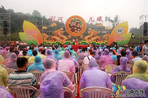 泸州:首届四川.泸县潮河金秋龙眼节正式启幕(图1) 泸州:首届四川.泸县潮河金秋龙眼节正式启幕(图1)