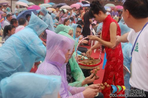 泸州:首届四川.泸县潮河金秋龙眼节正式启幕(图14) 泸州:首届四川.泸县潮河金秋龙眼节正式启幕(图14)