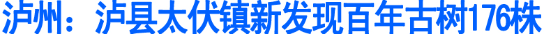 泸县太伏镇新发现百年古树176株(图1)