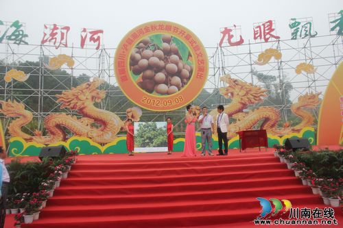 潮河精品龙眼拍卖——品质决定价值(图1)
