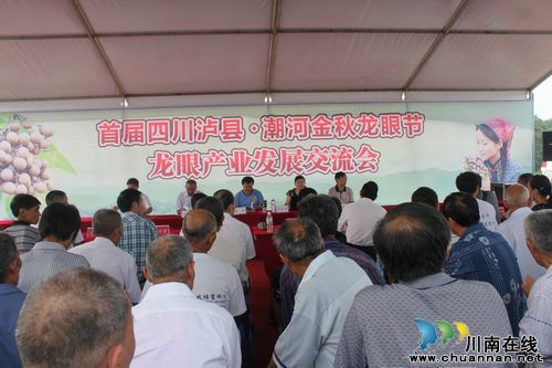 首届四川泸县潮河金秋龙眼节龙眼发展交流会召开(图1) 首届四川泸县潮河金秋龙眼节龙眼发展交流会召开(图1)