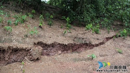 泸州市国土局到牛滩镇检查雨后地质灾害防治(图1)