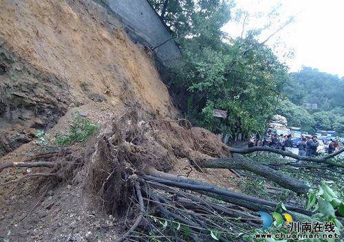泸县玉蟾山脚山体滑坡阻断交通(图1)