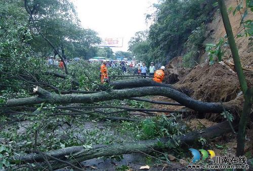泸县玉蟾山脚山体滑坡阻断交通(图2)
