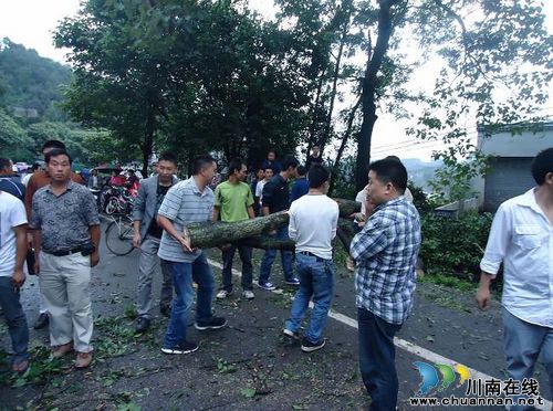 泸县玉蟾山脚山体滑坡阻断交通(图3)