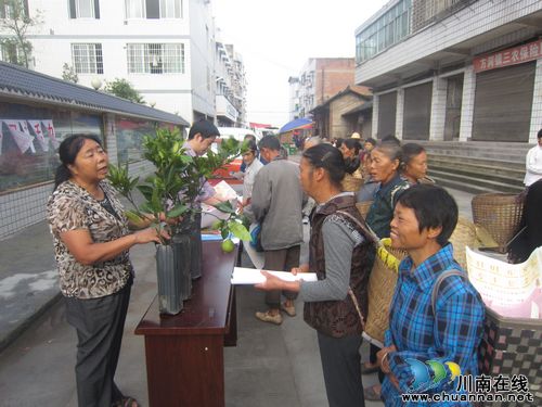 方洞镇:科普宣传,贴近生活(图1) 方洞镇:科普宣传,贴近生活(图1)