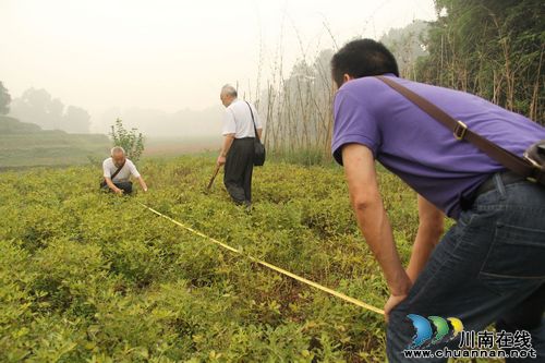 龙车镇：试种黑花生&nbsp;推广特色产业助农富(图1)
