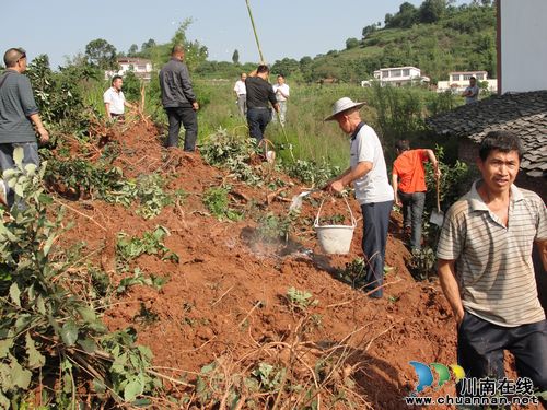 虎头乡:召开荔枝定植培训现场会(图1) 虎头乡:召开荔枝定植培训现场会(图1)