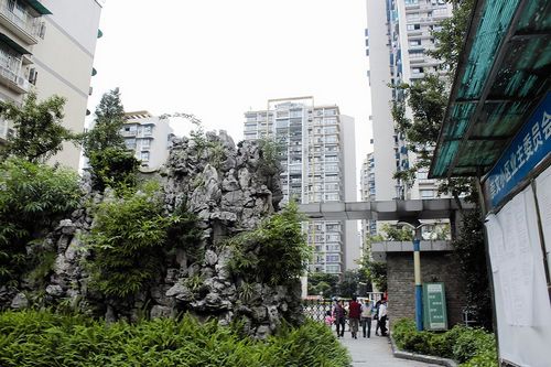 宜宾&nbsp;业主委员会：业主的自治(图1)