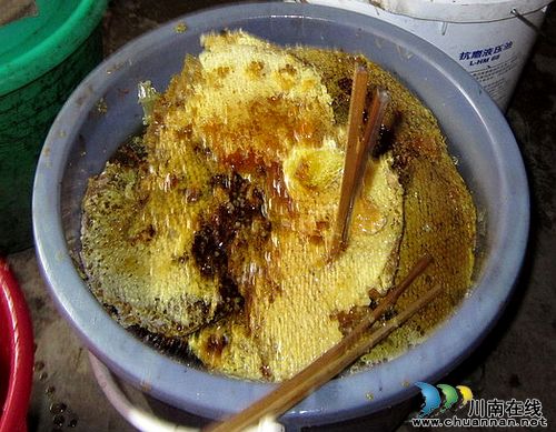天堂坝景区岩蜂蜜喜获丰收