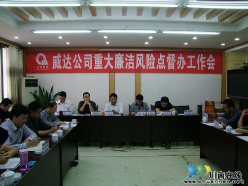 威达公司召开重大廉洁风险点督办工作会(图1)