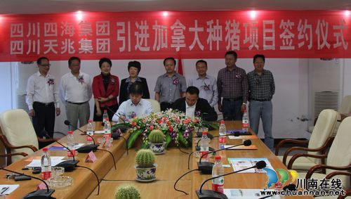 引进加拿大种猪项目 推动合江生猪产业迈上新台阶(图1) 引进加拿大种猪项目 推动合江生猪产业迈上新台阶(图1)