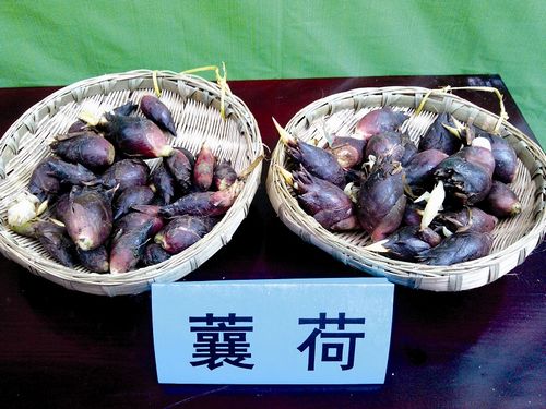 长宁美食节挑逗你的胃(图5) 长宁美食节挑逗你的胃(图5)