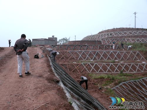 泸县坡耕地水土流失综合治理试点工作成效显著(图1) 泸县坡耕地水土流失综合治理试点工作成效显著(图1)