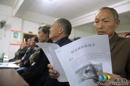 龙车镇：发展桂花缺技术，计生帮扶来给力(图2)