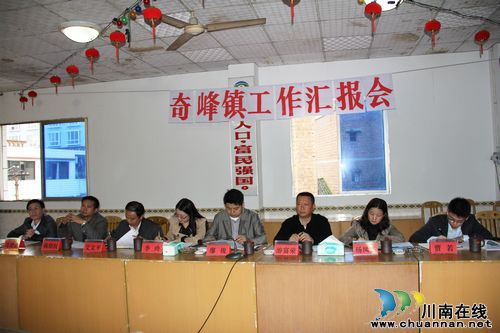 泸县县委常委廖俊率队到奇峰镇督查调研(图2)