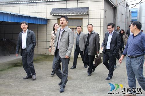 泸县县委常委廖俊率队到奇峰镇督查调研(图1)