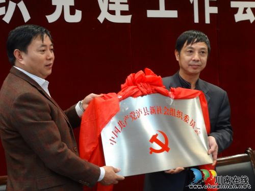 泸县大力推进两新组织党建工作(图2)