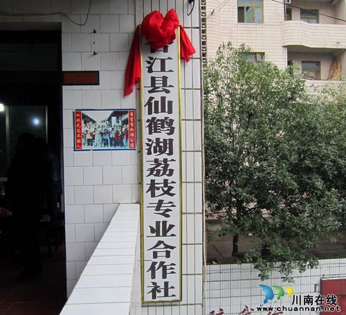 福宝镇：第一个荔枝专业合作社挂牌成立(图3)