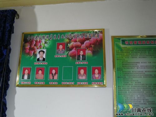 福宝镇：第一个荔枝专业合作社挂牌成立(图2)