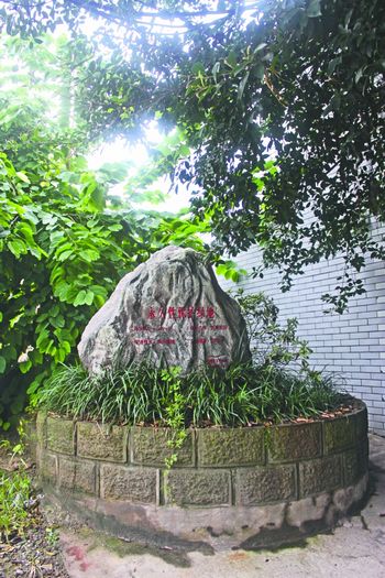 永久性绿地建营业房 泸州园林局:筹集绿化资金(图1) 永久性绿地建营业房 泸州园林局:筹集绿化资金(图1)