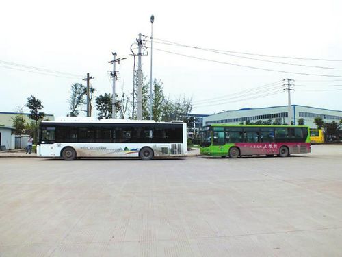 "百万公交"试运营良好 内江拟作引进方案(图1) "百万公交"试运营良好 内江拟作引进方案(图1)