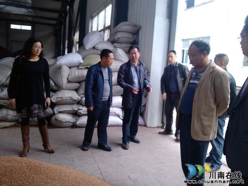 泸州市质监深入合江佛荫镇调研白酒专项整治工作(图1) 泸州市质监深入合江佛荫镇调研白酒专项整治工作(图1)