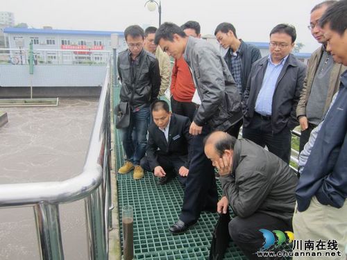 国家环保部西南督查中心莅临纳溪检查总量减排工作(图2)