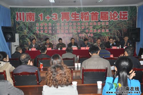 “川南1+3再生稻首届论坛”在泸县召开(图3) “川南1+3再生稻首届论坛”在泸县召开(图3)