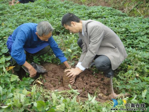 密溪乡：干群心连心，共建新农村(图2)
