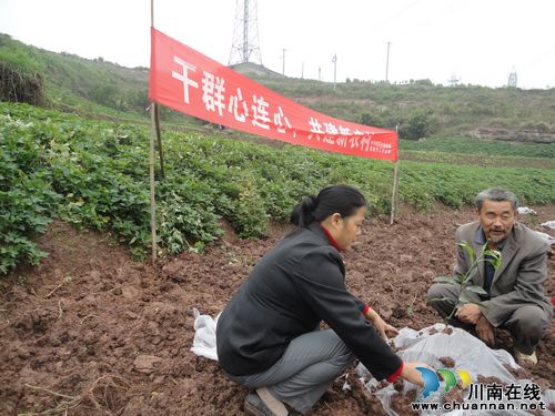 密溪乡：干群心连心，共建新农村(图1)
