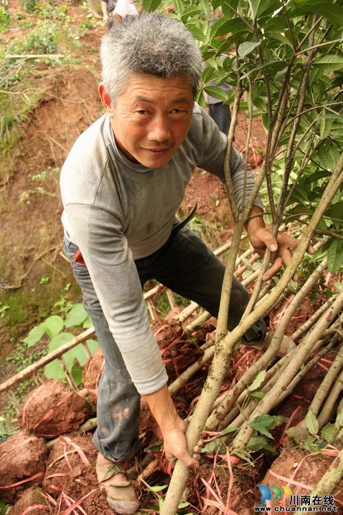 龙车镇：贴心帮扶，给力就业创业惠民众(图2)