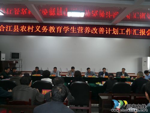 合江县农村义务教育学生营养改善计划工作汇报会召开(图1)