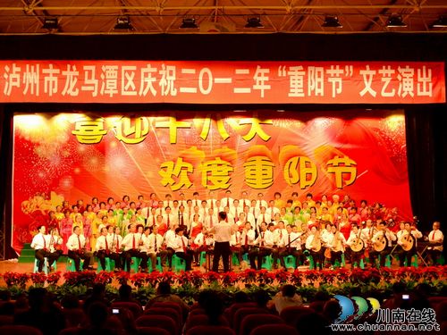 龙马潭区民政局开展丰富多彩的活动庆祝九九重阳节(图2)