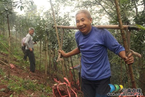 龙车镇：“绿色”重阳节，今年有别样(图1)