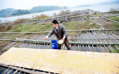 探访候鸟栖息地古宇湖(图1)