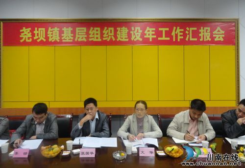 泸州市委组织部到尧坝调研基层组织建设年工作(图2)