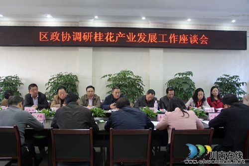 纳溪区政协为桂花产业发展“把脉”(图2)