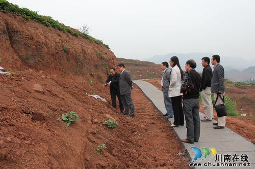 泸州市委农工办检查指导合江新农村建设(图2)