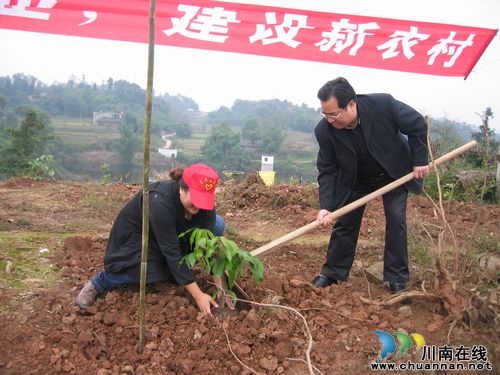 佛荫镇：青年志愿者参加植树活动(图1)