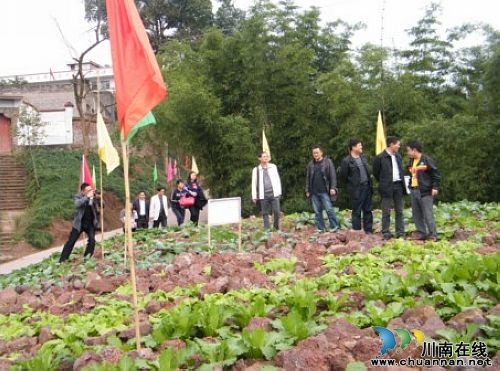 劳动实践教学,点亮山乡教育新希望(图1) 劳动实践教学,点亮山乡教育新希望(图1)