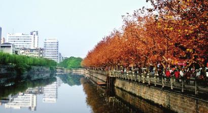 隆昌县：老小区换新颜&nbsp;老住户又回迁(图1)