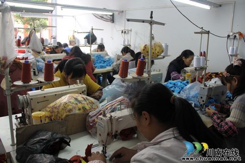 泸州纳溪龙车镇：返乡青年办玩具厂，留守妇女家门口就业(图1)