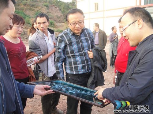 合江县委农工办一行到大桥镇检查新农村建设工作(图1)